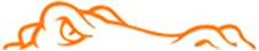 gator orange