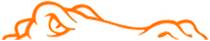 gator orange